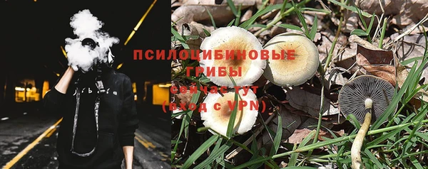 синтетический гашиш Алексеевка