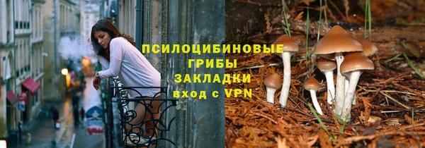 2c-b Алзамай